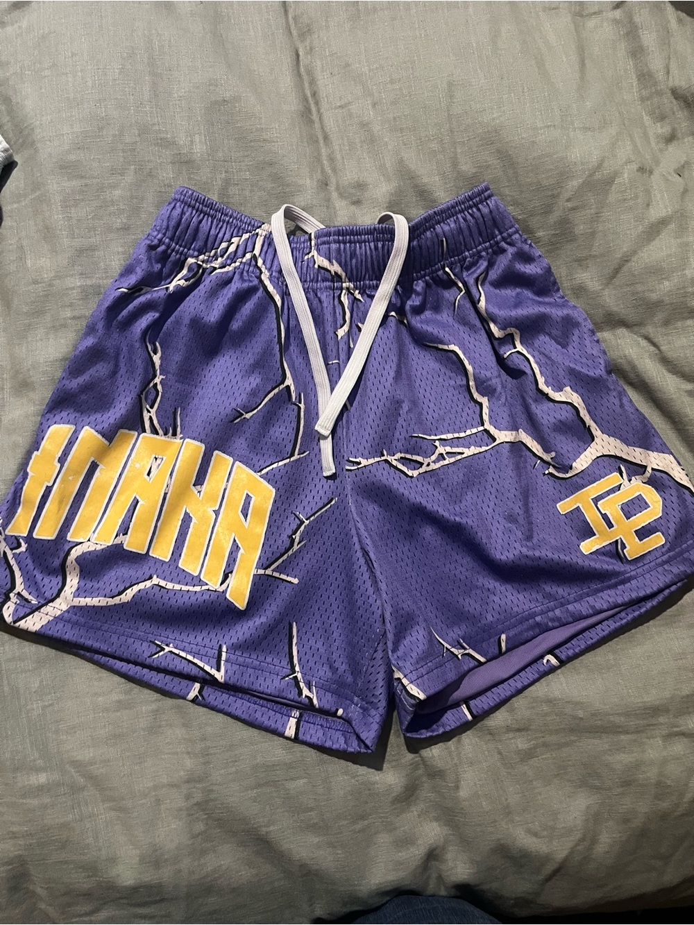 Inaka Power Purple Mesh Shorts